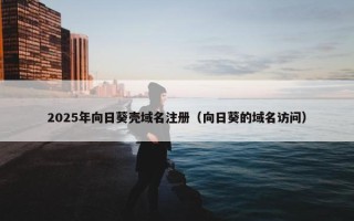 2025年向日葵壳域名注册（向日葵的域名访问）