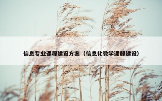 信息专业课程建设方案（信息化教学课程建设）