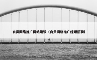自贡网络推广网站建设（自贡网络推广经理招聘）