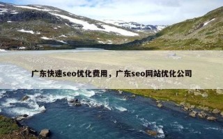 广东快速seo优化费用，广东seo网站优化公司