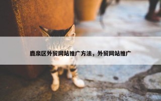 鹿泉区外贸网站推广方法，外贸网站推广