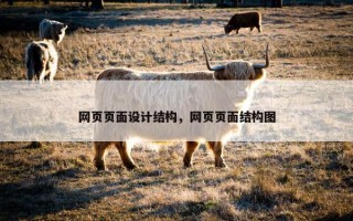 网页页面设计结构，网页页面结构图