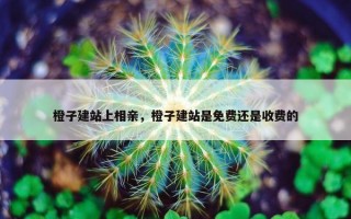 橙子建站上相亲，橙子建站是免费还是收费的