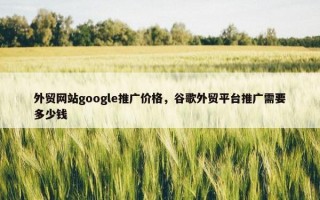 外贸网站google推广价格，谷歌外贸平台推广需要多少钱