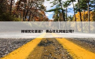 禅城优化渠道？ 佛山优化网站公司？