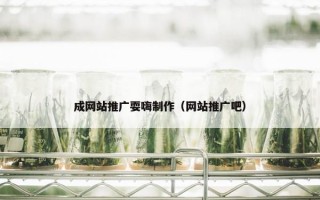 成网站推广耍嗨制作（网站推广吧）