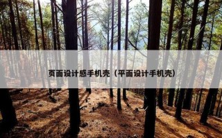 页面设计感手机壳（平面设计手机壳）