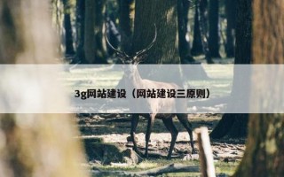3g网站建设（网站建设三原则）