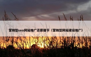 营销型seo网站推广还原细节（营销型网站建设推广）