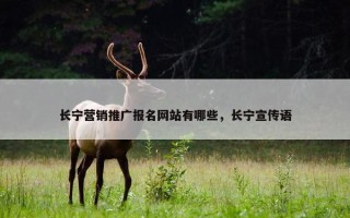 长宁营销推广报名网站有哪些，长宁宣传语
