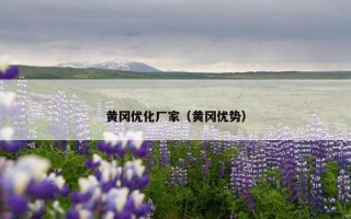 黄冈优化厂家（黄冈优势）