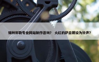 锡林郭勒专业网站制作咨询？ 火红的萨日朗设为铃声？