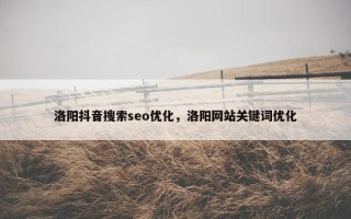 洛阳抖音搜索seo优化，洛阳网站关键词优化