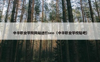 中华职业学院网站进行seo（中华职业学校贴吧）
