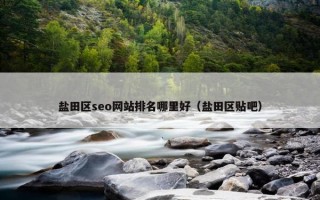 盐田区seo网站排名哪里好（盐田区贴吧）
