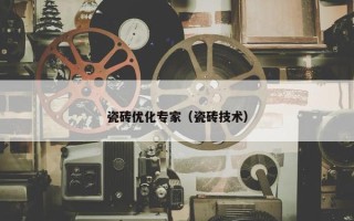 瓷砖优化专家（瓷砖技术）
