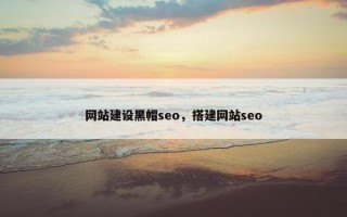 网站建设黑帽seo，搭建网站seo