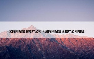 汉阳网站建设推广公司（汉阳网站建设推广公司地址）
