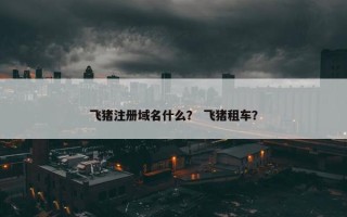 飞猪注册域名什么？ 飞猪租车？