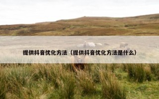 提供抖音优化方法（提供抖音优化方法是什么）