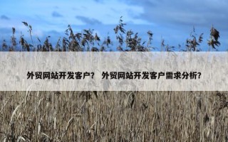 外贸网站开发客户？ 外贸网站开发客户需求分析？