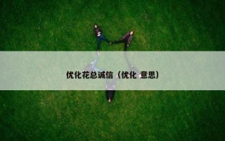 优化花总诚信（优化 意思）