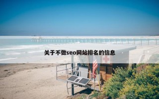 关于不做seo网站排名的信息
