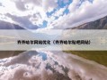 齐齐哈尔网站优化（齐齐哈尔贴吧网站）