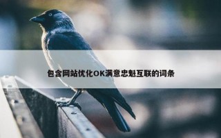 包含网站优化OK满意忠魁互联的词条