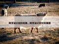 网页设计实际效果，网页设计实际效果图