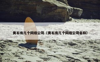 黄石有几个网络公司（黄石有几个网络公司名称）