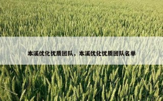 本溪优化优质团队，本溪优化优质团队名单