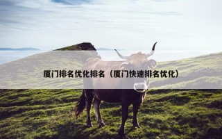 厦门排名优化排名（厦门快速排名优化）
