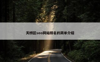 天桥区seo网站排名的简单介绍