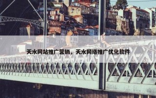 天水网站推广营销，天水网络推广优化软件