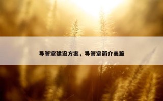 导管室建设方案，导管室简介美篇