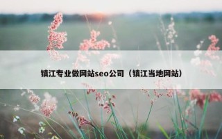 镇江专业做网站seo公司（镇江当地网站）