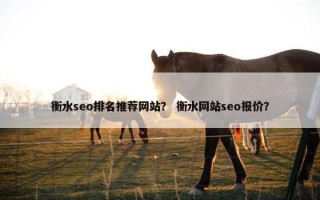 衡水seo排名推荐网站？ 衡水网站seo报价？