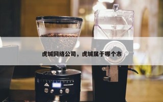 虎城网络公司，虎城属于哪个市