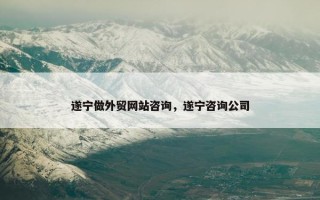 遂宁做外贸网站咨询，遂宁咨询公司