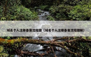 域名个人注册备案流程图（域名个人注册备案流程图解）
