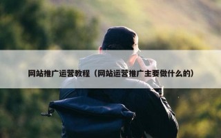 网站推广运营教程（网站运营推广主要做什么的）