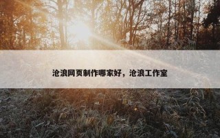沧浪网页制作哪家好，沧浪工作室