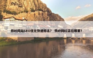 铁岭网站SEO优化快速排名？ 铁岭网红店在哪里？