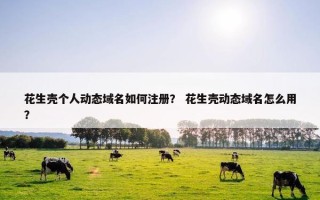 花生壳个人动态域名如何注册？ 花生壳动态域名怎么用？