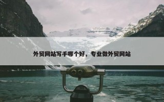 外贸网站写手哪个好，专业做外贸网站