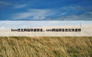 Seo优化网站快速排名，seo网站排名优化快速排