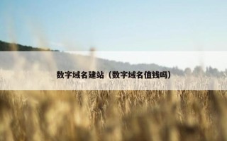 数字域名建站（数字域名值钱吗）
