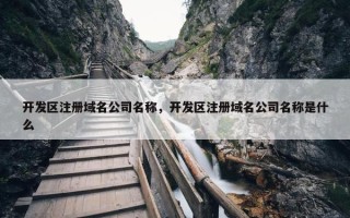 开发区注册域名公司名称，开发区注册域名公司名称是什么