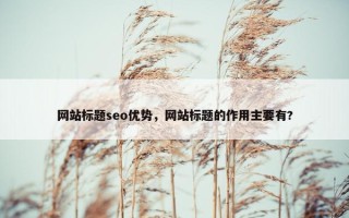 网站标题seo优势，网站标题的作用主要有?